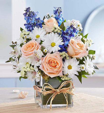 sea cube arrangement